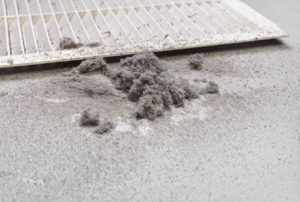 Best Best Air Duct Cleaning Company  in Willis, TX