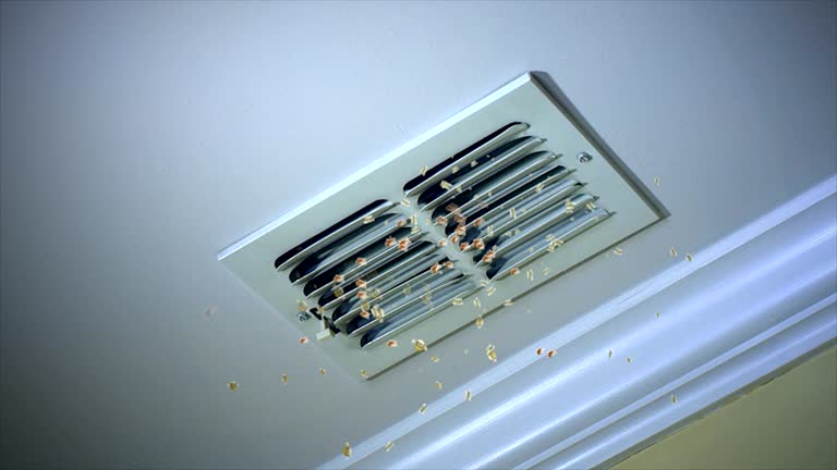 Best HVAC System Cleaning  in Willis, TX